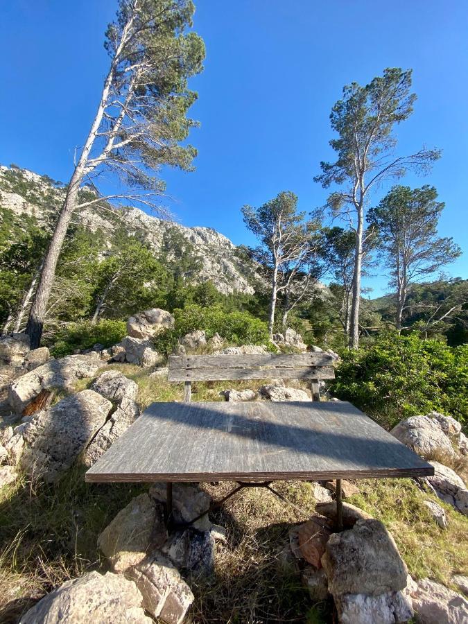Finca Ses Fontanelles Andraitx Dış mekan fotoğraf