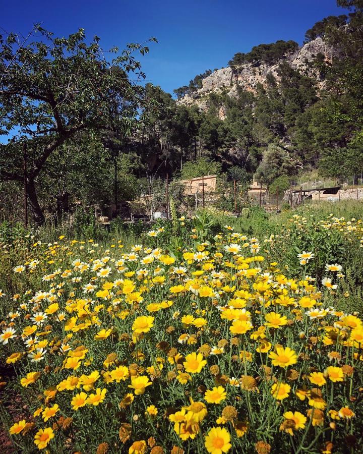 Finca Ses Fontanelles Andraitx Dış mekan fotoğraf