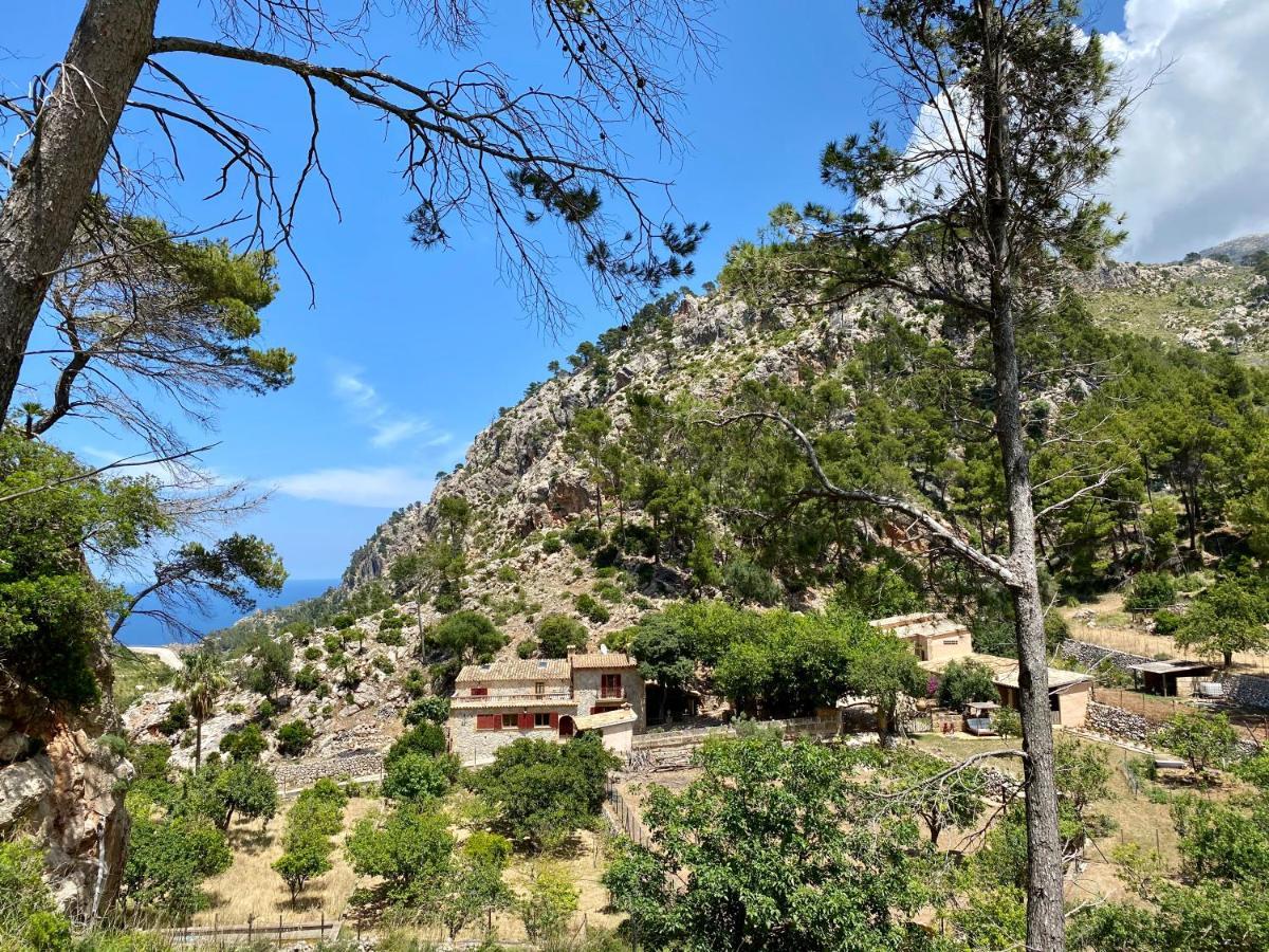 Finca Ses Fontanelles Andraitx Dış mekan fotoğraf