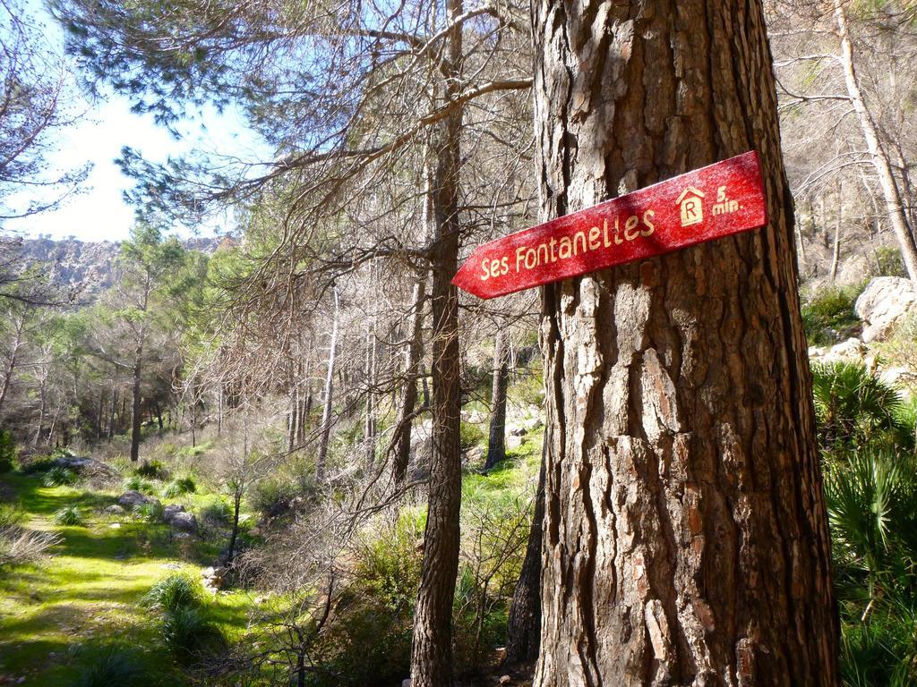 Finca Ses Fontanelles Andraitx Dış mekan fotoğraf