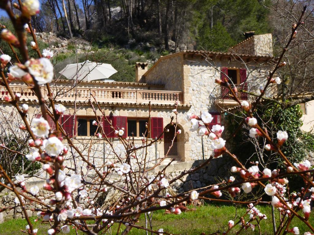Finca Ses Fontanelles Andraitx Dış mekan fotoğraf
