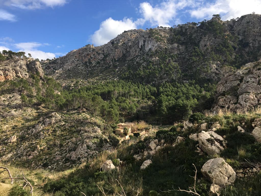 Finca Ses Fontanelles Andraitx Dış mekan fotoğraf