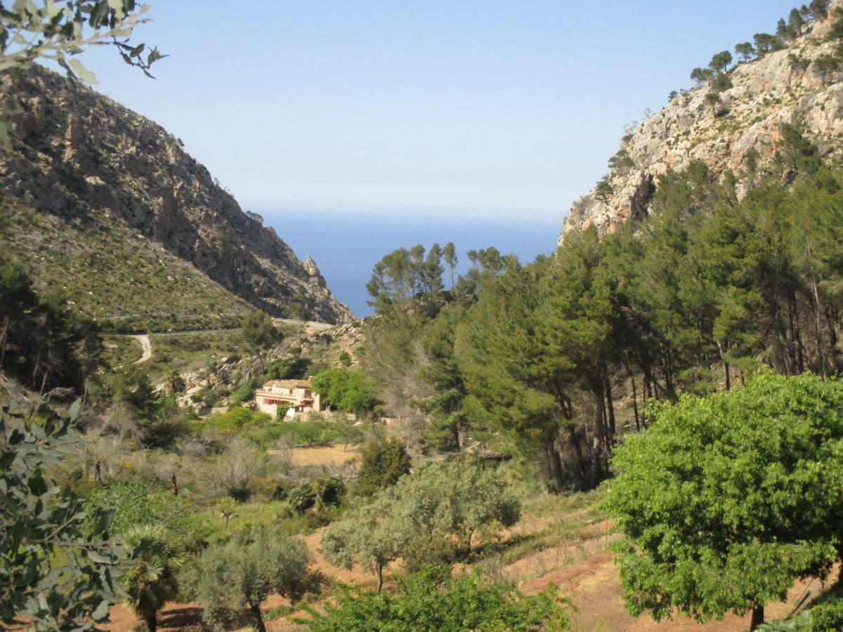 Finca Ses Fontanelles Andraitx Dış mekan fotoğraf