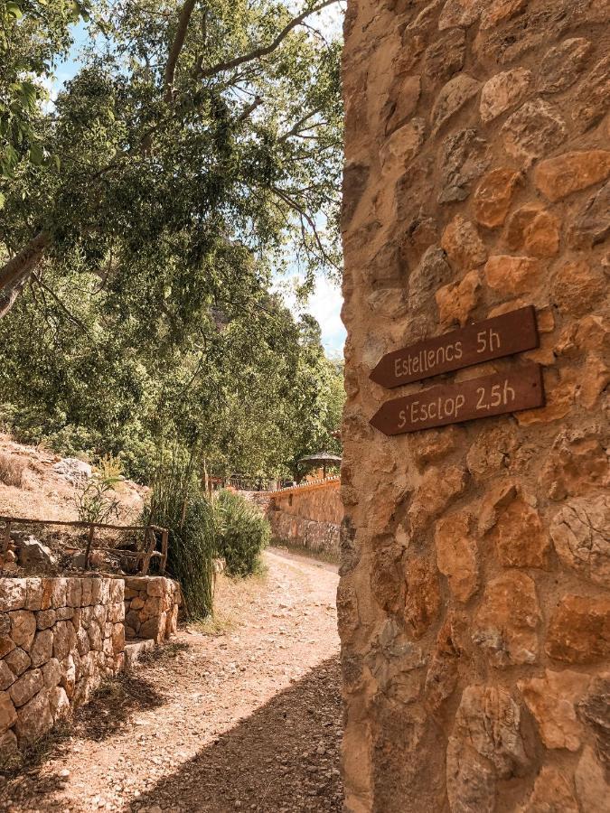 Finca Ses Fontanelles Andraitx Dış mekan fotoğraf